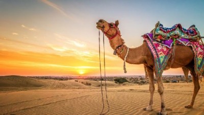 Rajasthan : 8 Popular Place To Travel