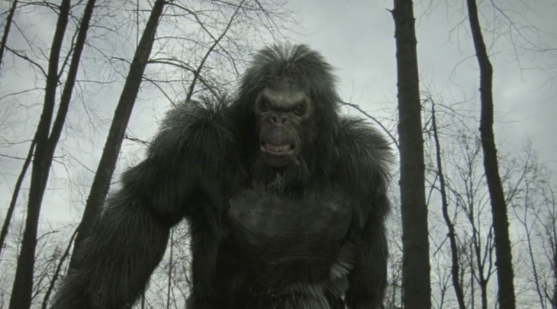 Bigfoot: Investigating Sightings and Evidence of the Elusive Sasquatch