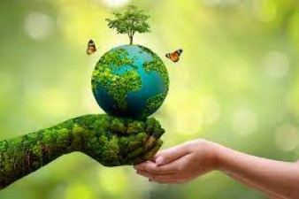 Protecting Our Planet The Urgency of Environmental Responsibility