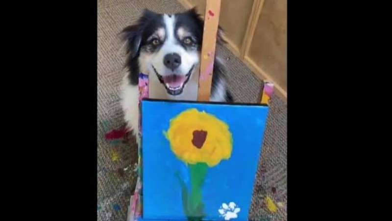 Doggo becomes ‘Doggo Van Gogh’ wows everyone by painting picture