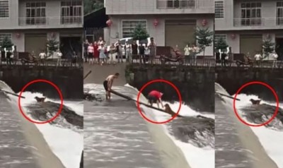 The dog was drowning in the water, two people standing in front saved his life and set an example of humanity!