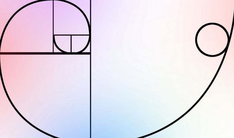 The Fascinating World of the Fibonacci Sequence