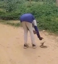 नशे में धुत आदमी को कोबरा के साथ मस्ती करना पड़ गया भारी
