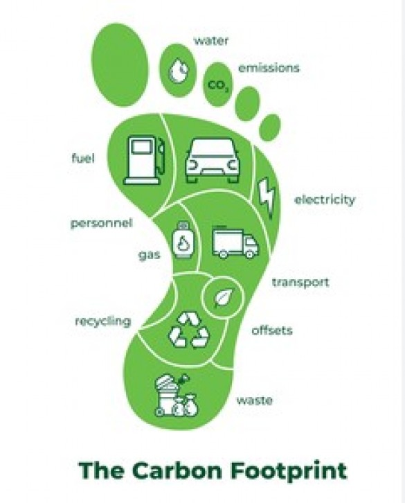 Understanding Carbon Footprint: A Measure of Environmental Impact