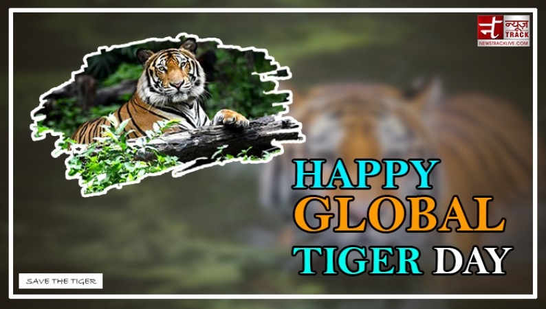 Global Tiger Day: Celebrating Conservation Efforts for Our Majestic Predators
