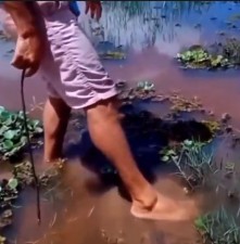 Video: While crossing the river, a man stepped on a dangerous creature... you will be stunned after watching the video