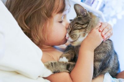 10 Health Benefits of Owning a Cat
