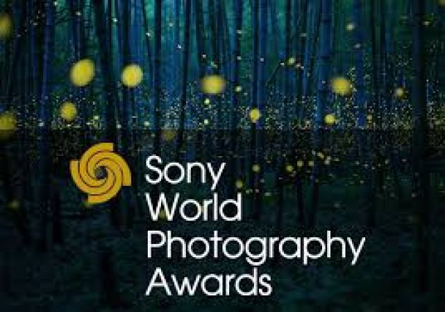 Stunning images shortlisted for Sony World Photography Awards 2017