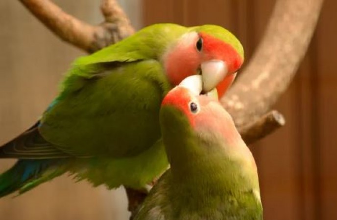 Today is a great day for love birds, they can go out on the weekend