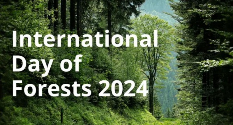 Celebrate Innovation for a Greener Future: International Day of Forests on March 21st
