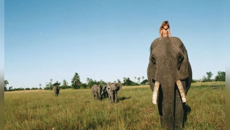 Tippi Degre, A French Girl Who Spent 10 Years of her Childhood with African Animals