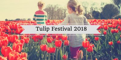 Know the other surplus of Tulip Festival 2018