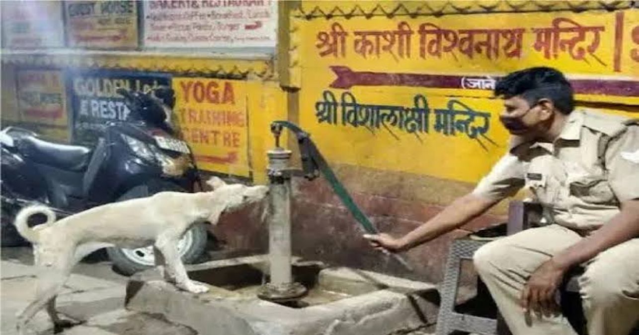 Wholesome moment! Varanasi Cop helps thirsty stray dog, photo surfaced