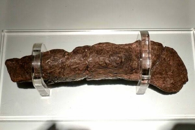 largest fossilized poop