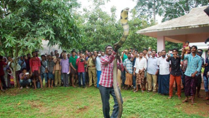 Meet Suresh a Wildlife Conservationist who has Saved More Than 100 King Cobras