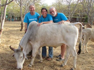 Unbelievable ! A Family Migrated to India Just to Save Animals