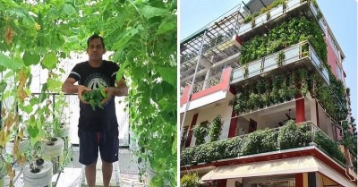 UP man converts a 3-story house into an organic farm, Earns Rs.70-La  yearly