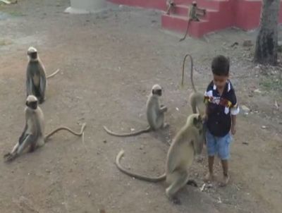 Wow ! This kid has a best friend named 'Monkey' !