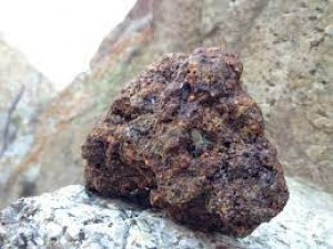 Is Shilajit really the sweat of mountains?