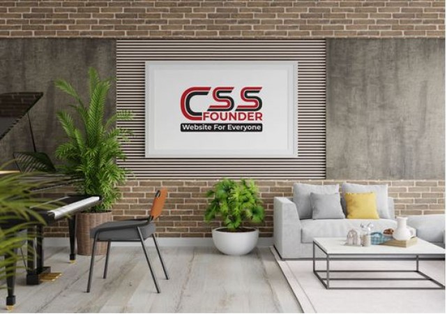 Css Founder Building the future of web design - Best Website Design Company in India