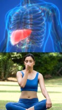 Yoga for Fatty Liver - Health Benefits of Yoga Asanas for Liver