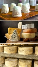 Top 10 most expensive cheese