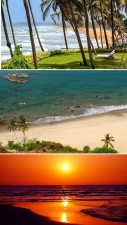 Top 10 Beaches in Goa to Enjoy Sun, Sand and Sea