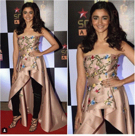 Gallery: Best looks from the red carpet of Star Screen Awards