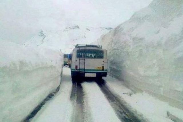 what's the reason behind so many likes to Himachal bus drivers?