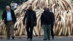 Kenya burns 105 tonnes of illegal ivory to stop poaching