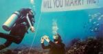 Watch! Under sea engagement with shark guest