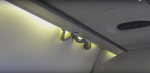 What happen when 'Snake' caught in Mexico flight ???