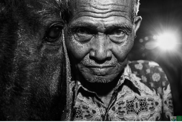 “Ageing:The bigger picture” shows how beautiful old age