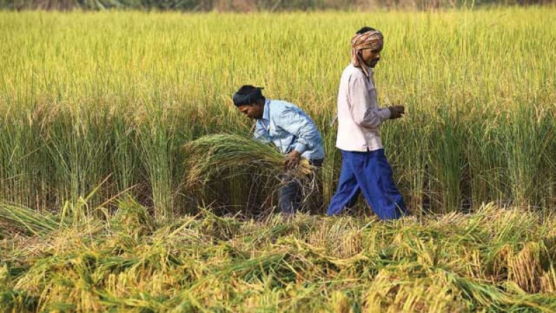 Modi government may announce something for farmers amid lockdown