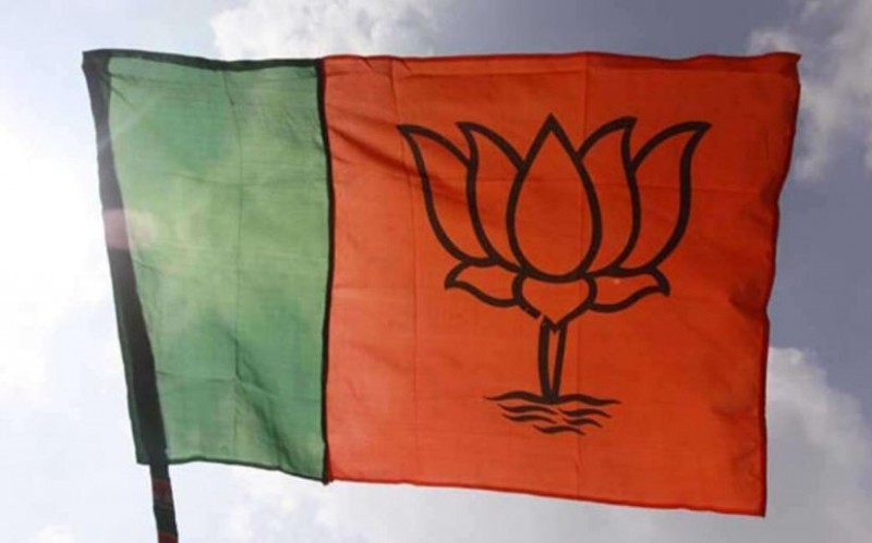 मंडी निगम चुनाव में भाजपा की प्रचंड जीत, 15 में से 11 सीटों पर किया कब्ज़ा