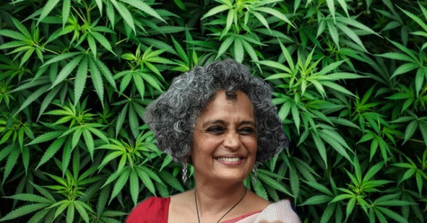 Arundhati Roy's provocative statement over treatment of Muslims