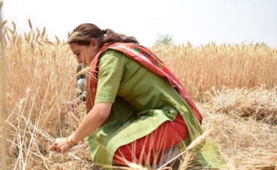Seeing the women cutting wheat, the cabinet minister reached the field, took stock of the tractor.
