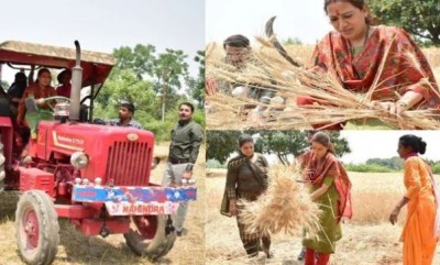 Seeing the women cutting wheat, the cabinet minister reached the field, took stock of the tractor.
