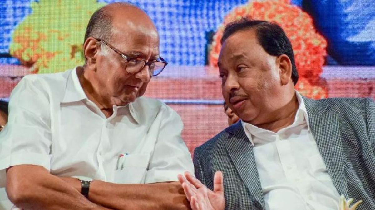 NCP supremo Sharad Pawar said this on joining of Rane in Congress