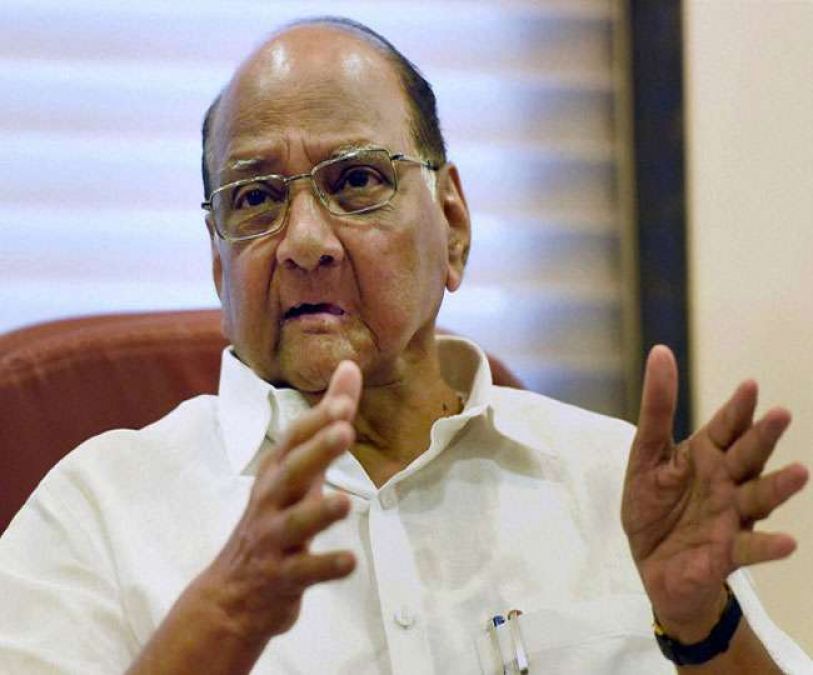 NCP supremo Sharad Pawar said this on joining of Rane in Congress