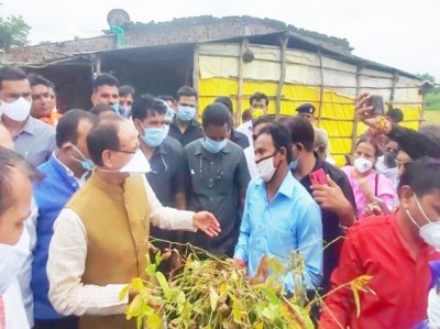 CM Shivraj reached to check on damaged crops, says 