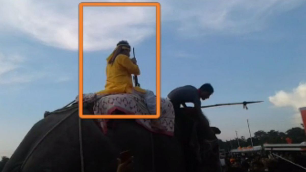 हाथी पर सवार होकर MLA विनय बिहारी ने लहराई राइफल, मूकदर्शक बन देखती रही पुलिस