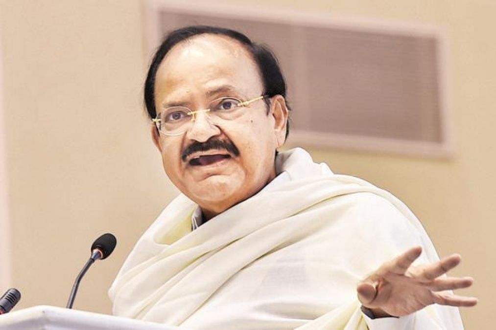 Naidu rages on MPs who are absent in meetings, may have to leave the parliamentary panel