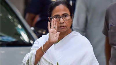 Mamta's challenge on CAA and NRC, says 'BJP does not play with fire, protests will continue'