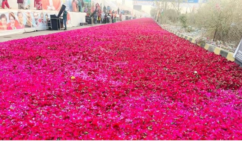प्रियंका वाड्रा के स्वागत में बनी 2 km लम्बी 'गुलाब' की सड़क ! 6000 किलो से अधिक फूलों का हुआ इस्तेमाल
