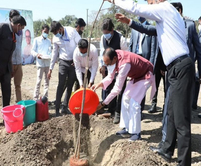 'एक पेड़ हर दिन' अभियान के तहत आज सीएम शिवराज सिंह ने लगाया नीम का पौधा
