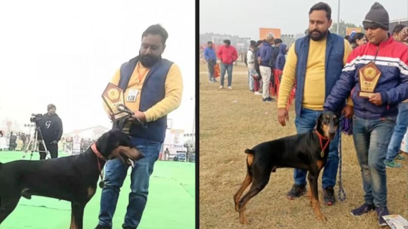 BJP नेता का कुत्ता मरा तो भड़के मंत्री-MLA, खुद फ़ोन करके दर्ज करवाई FIR