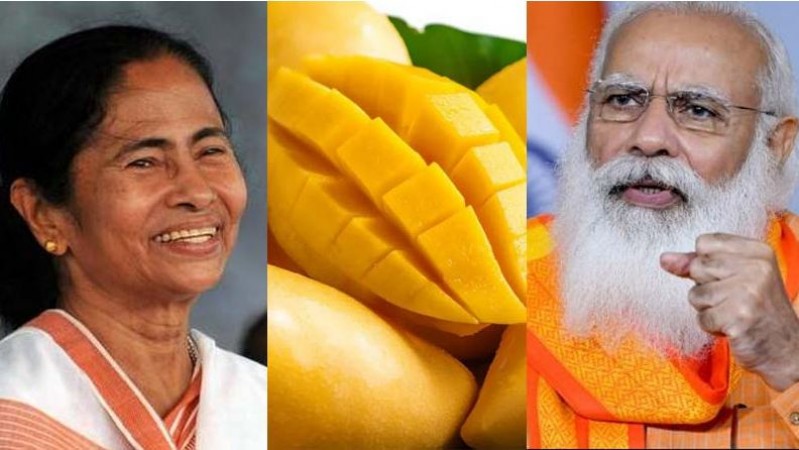 CM Mamata Banerjee sends special Bengal mangoes as gift to PM Narendra Modi