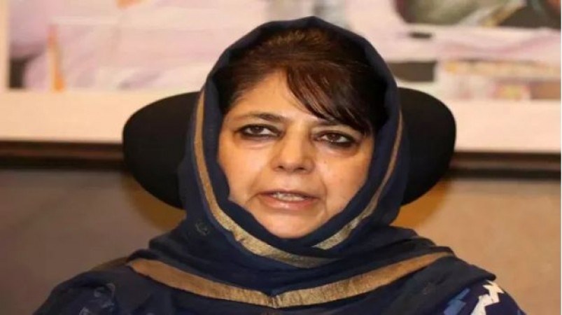 Hizbul chief's sons sacked in J&K, Mehbooba Mufti lashes out at Centre