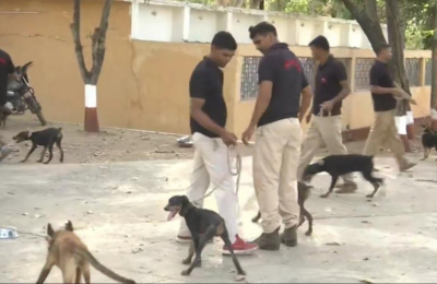 Madhya Pradesh: after officers now the round of transfer of dogs began, BJP told- oh inhuman...